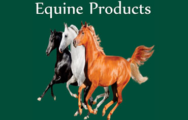 Equine-Products