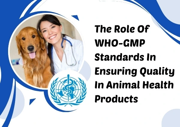 The Role Of WHO-GMP Standards In Ensuring Quality In Animal Health Products