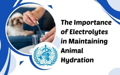 The Importance Of Electrolytes In Maintaining Animal Hydration