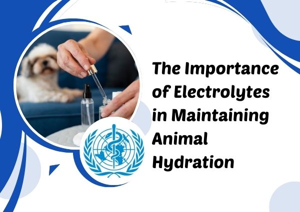 The Importance of Electrolytes in Maintaining Animal Hydration