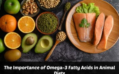 The Importance Of Omega-3 Fatty Acids In Animal Diets