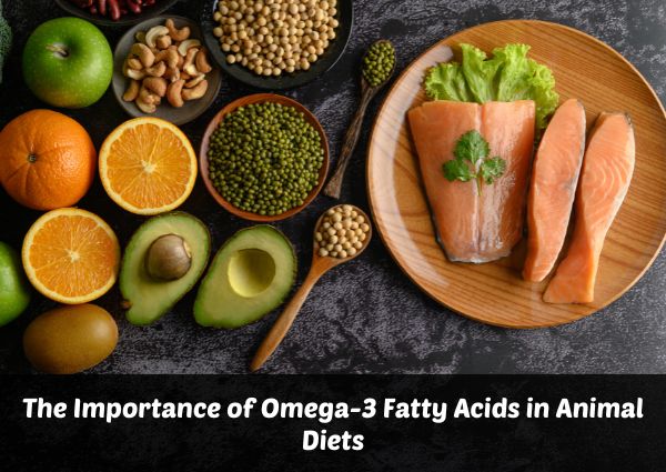 The Importance of Omega-3 Fatty Acids in Animal Diets