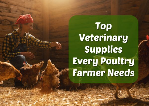 Top Veterinary Supplies Every Poultry Farmer Needs