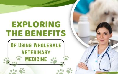 Exploring The Benefits Of Using Wholesale Veterinary Medicine