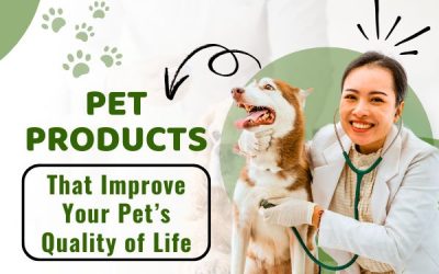 Pet Products That Improve Your Pet’s Quality Of Life