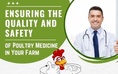 Ensuring The Quality And Safety Of Poultry Medicine In Your Farm