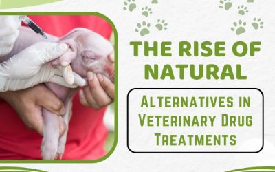 The Rise Of Natural Alternatives In Veterinary Drug Treatments