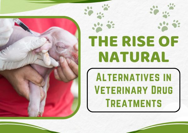 Veterinary Drug Treatments