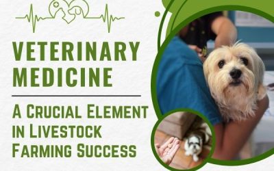 Veterinary Medicine: A Crucial Element In Livestock Farming Success