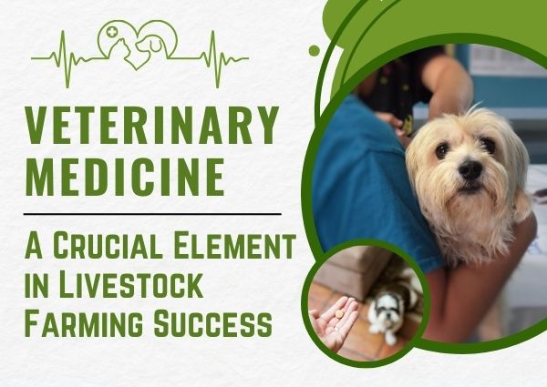 Veterinary Medicine