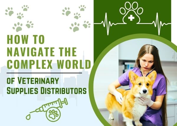 How To Navigate The Complex World Of Veterinary Supplies Distributors