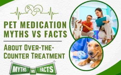 Pet Medication: Myths vs. Facts About Over-The-Counter Treatment