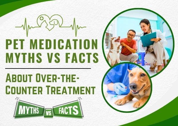 Pet Medication: Myths vs. Facts About Over-The-Counter Treatment