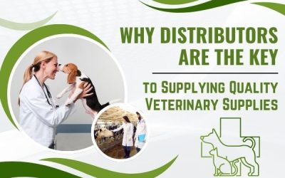 Why Distributors Are The Key To Supplying Quality Veterinary Supplies