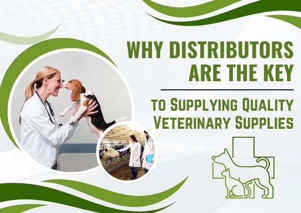 Why Distributors Are The Key To Supplying Quality Veterinary Supplies