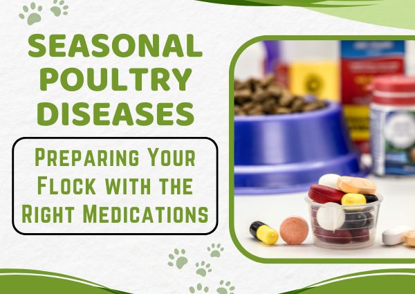 Poultry Diseases