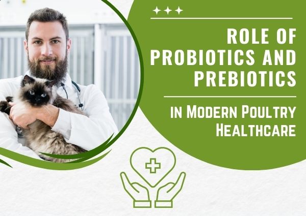 Poultry Healthcare