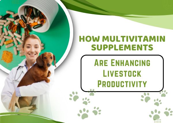 Multivitamin Supplements