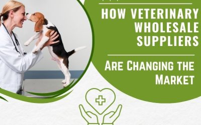 How Veterinary Wholesale Suppliers Are Changing the Market