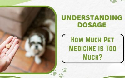 Understanding Dosage: How Much Pet Medicine Is Too Much?