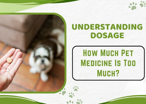 Pet Medicine