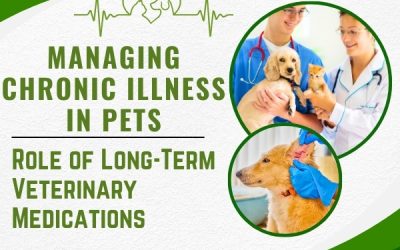 Managing Chronic Illness in Pets: Role of Long-Term Veterinary Medications