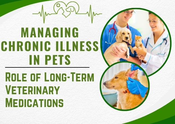 Veterinary Medications