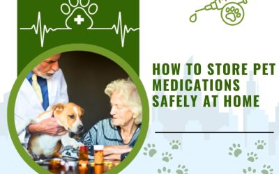 How to Store Pet Medications Safely at Home