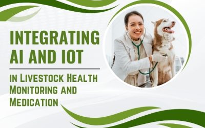 Integrating AI and IoT in Livestock Health Monitoring and Medication