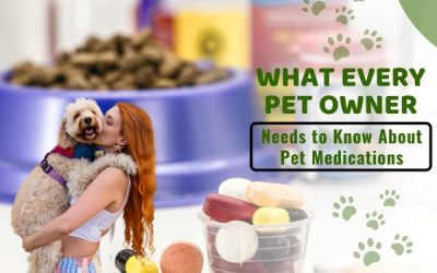 What Every Pet Owner Needs to Know About Pet Medications