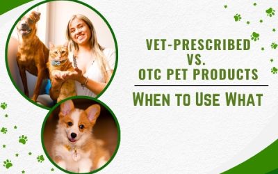 Vet-Prescribed vs. OTC Pet Products: When to Use What