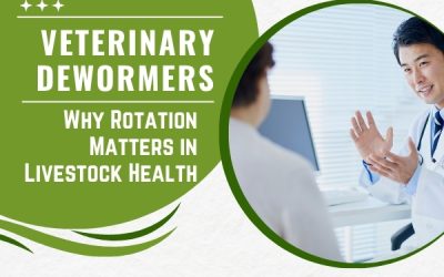 Veterinary Dewormers: Why Rotation Matters in Livestock Health