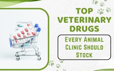 Top Veterinary Drugs Every Animal Clinic Should Stock