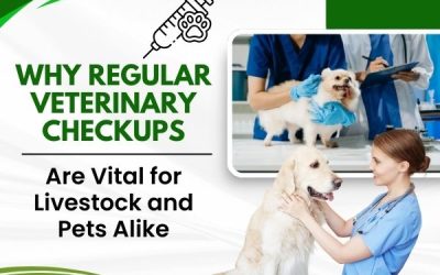Why Regular Veterinary Checkups Are Vital for Livestock and Pets Alike