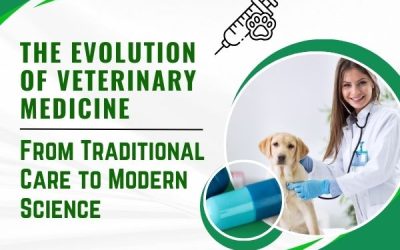 The Evolution of Veterinary Medicine: From Traditional Care to Modern Science
