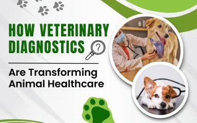 How Veterinary Diagnostics Are Transforming Animal Healthcare