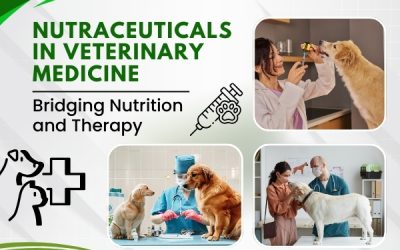 Nutraceuticals in Veterinary Medicine: Bridging Nutrition and Therapy