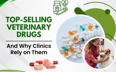 Top-Selling Veterinary Drugs and Why Clinics Rely on Them