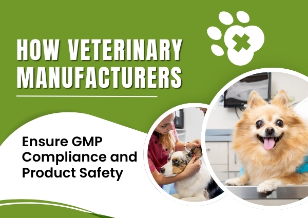 How Veterinary Manufacturers Ensure GMP Compliance and Product Safety