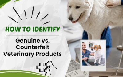 How to Identify Genuine vs. Counterfeit Veterinary Products