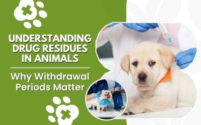 Understanding Drug Residues in Animals: Why Withdrawal Periods Matter