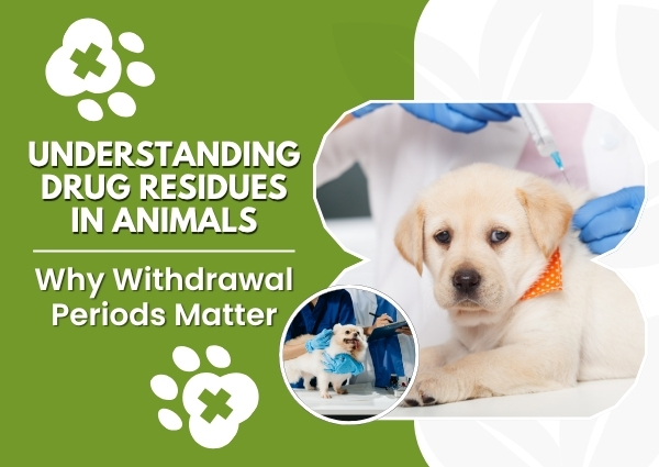 Understanding Drug Residues in Animals: Why Withdrawal Periods Matter