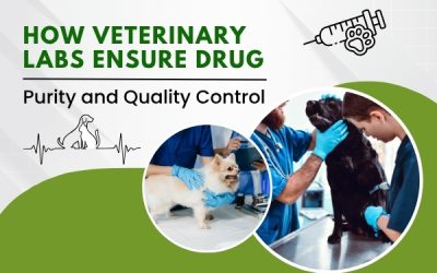 How Veterinary Labs Ensure Drug Purity and Quality Control