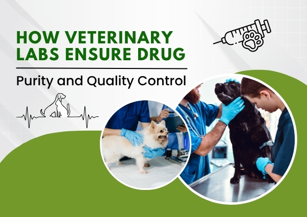 How Veterinary Labs Ensure Drug Purity and Quality Control