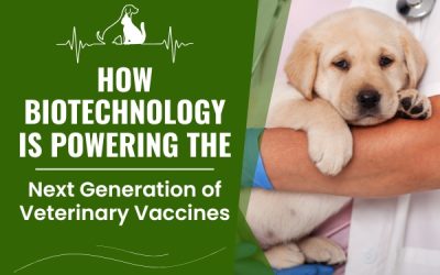 How Biotechnology Is Powering the Next Generation of Veterinary Vaccines