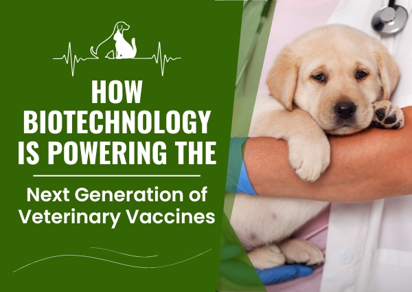 How Biotechnology Is Powering the Next Generation of Veterinary Vaccines