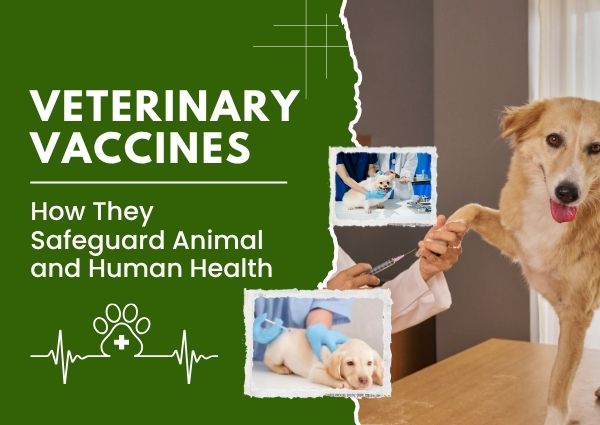Veterinary Vaccines