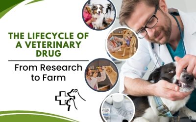 The Lifecycle of a Veterinary Drug: From Research to Farm