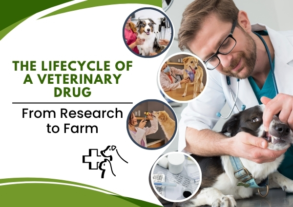 Veterinary Drug