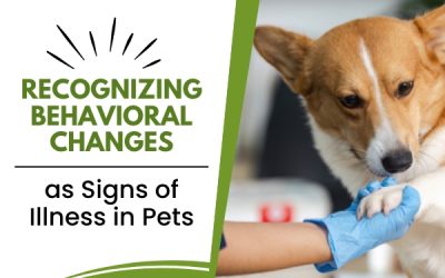 Recognizing Behavioral Changes as Signs of Illness in Pets